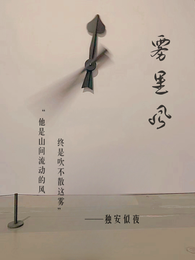 雾里风 封面