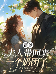 霍爷，夫人带回来一个奶团子 封面