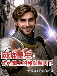网游重生：作为骑士的我偷遍天下 封面