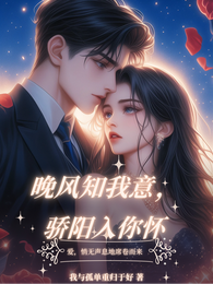 晚风知我意,骄阳入你怀 封面