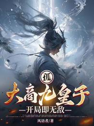 孤,大商九皇子,开局即无敌 封面