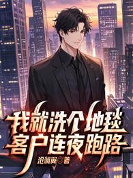 我就洗个地毯，客户连夜跑路 封面