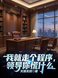 我就走个程序，领导你慌什么 封面