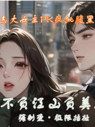 不负江山负美人 封面