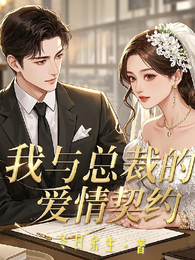 我与总裁的爱情契约 封面