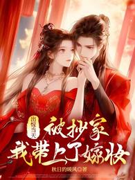 出嫁当天被抄家，我带上了嫁妆 封面