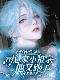 野性难驯:司总家小祖宗他又跑了 封面