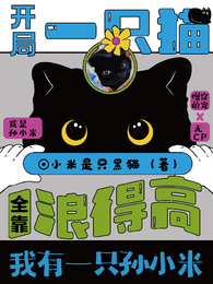 慢穿之我有一只孙小米 封面