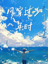 风穿过少年时 封面