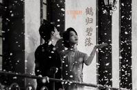 鹤归碧落 封面