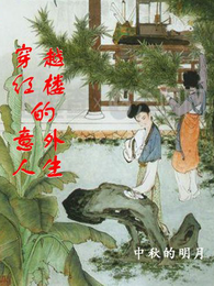 穿越红楼的意外人生 封面
