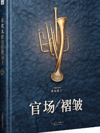 官场褶皱 封面