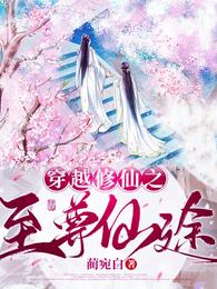 穿越修仙之至尊仙途 封面