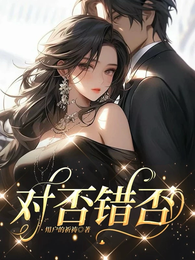 对否错否 封面
