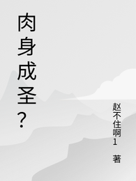 肉身成圣? 封面