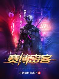 赛博密客 封面