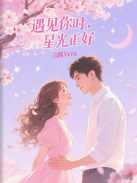 遇见你时,星光正好 封面