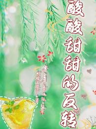 酸酸甜甜的反转 封面