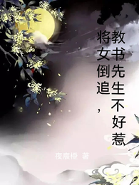 将女倒追，教书先生不好惹 封面