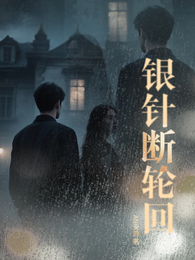 银针断轮回 封面