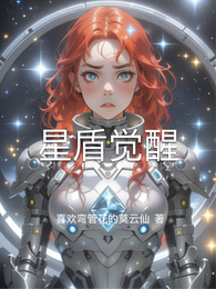 星盾觉醒 封面