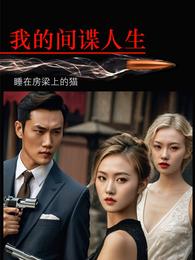 我的间谍人生 封面