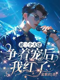 被三个大佬挣着宠后我红了 封面