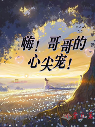 嗨!哥哥的心尖宠! 封面