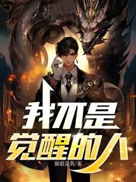 我不是觉醒的人 封面