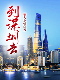 到深圳去 封面