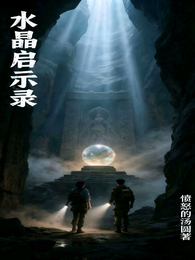 水晶启示录 封面