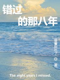 错过的那八年 封面