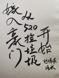嫁入豪门从520捡垃圾开始 封面