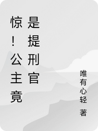 惊！公主竟是提刑官 封面