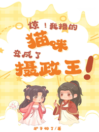 惊！我撸的猫咪变成了摄政王！ 封面