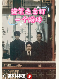 盗笔之主打一个陪伴 封面
