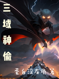 三域神偷 封面