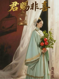 君赐非喜 封面