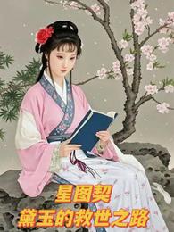 星图契：黛玉的救世之路 封面
