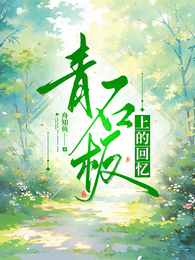 青石板上的回忆 封面