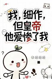 我，细作，但皇帝他爱惨了我 封面