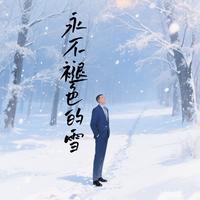 永不褪色的雪 封面