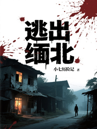 逃出缅北【缅甸】 封面