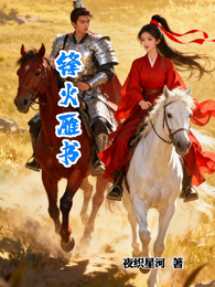 烽火雁书 封面