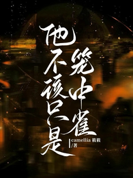 他不该只是笼中雀 封面
