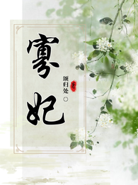 寡妃 封面