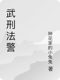 武刑法警 封面