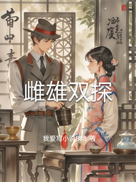 雌雄双探 封面