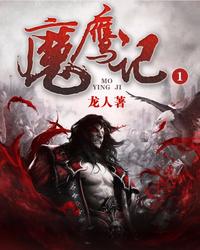 魔鹰记 封面