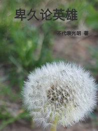 卑久论英雄 封面